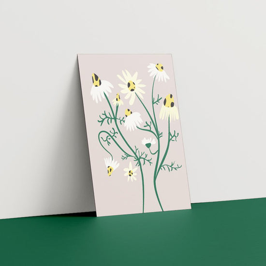 Kaart - Chamomile