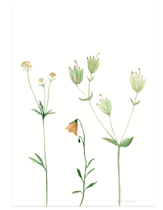 Kaart - Bergbloemen Oranje