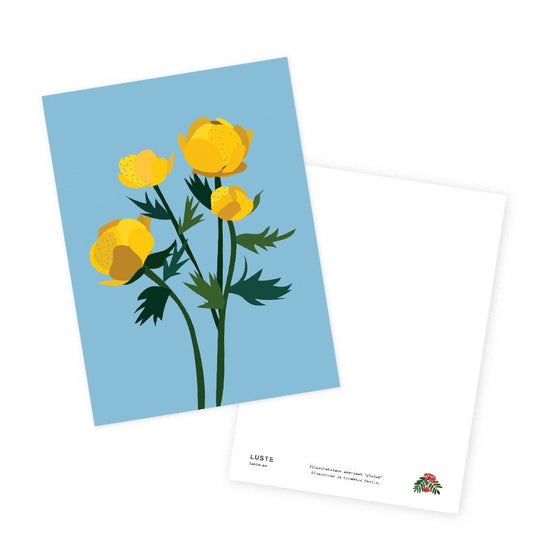 Kaart - Globeflower