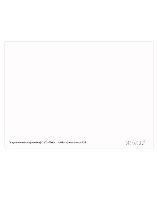 Kaart - Huisgeranium