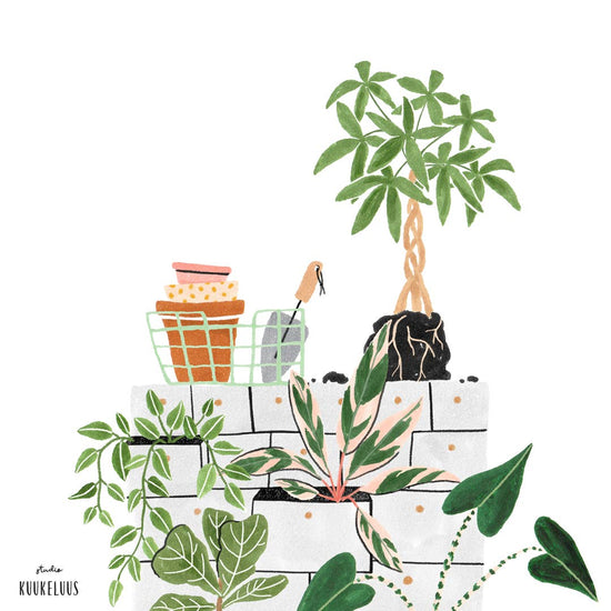 Wenskaart - New Home