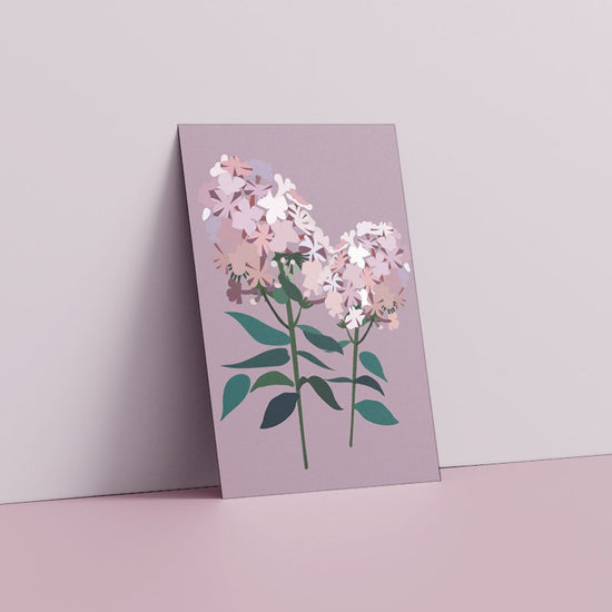 Kaart - Phlox