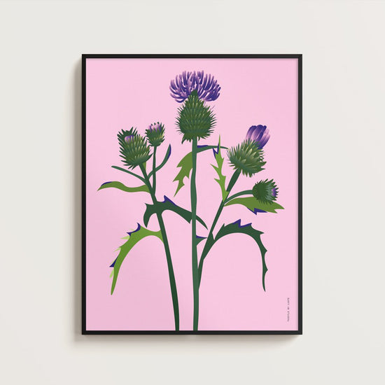 Art Print - Thistle