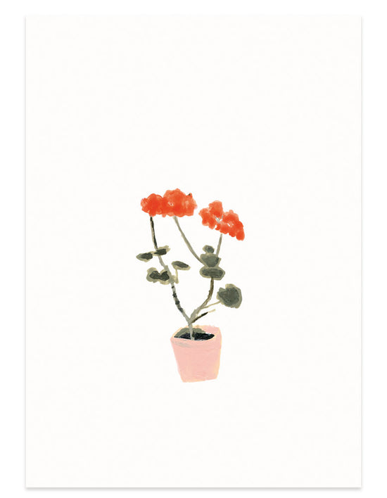 Kaart - Geranium