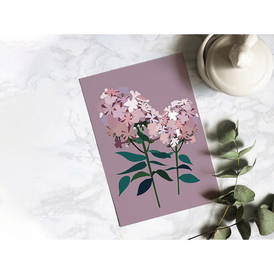 Kaart - Phlox