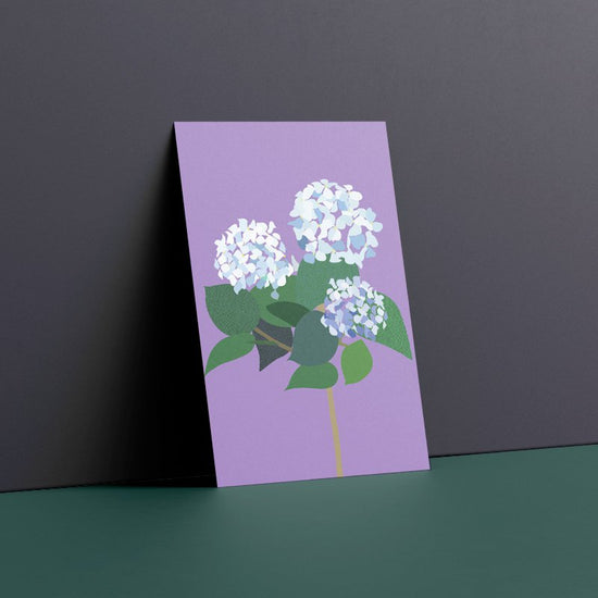 Postcard - Hydrangea