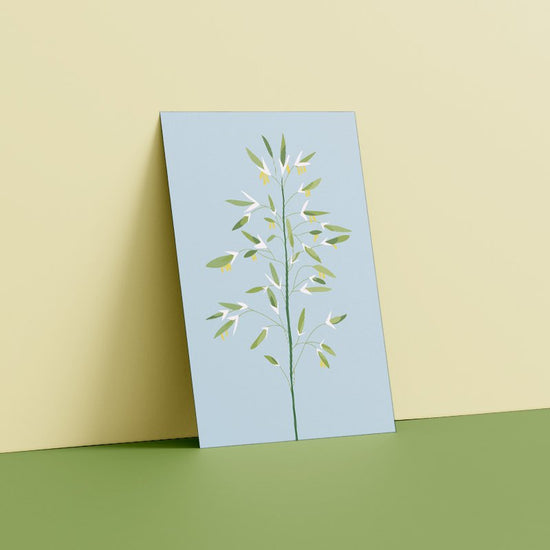 Postcard - Bromus