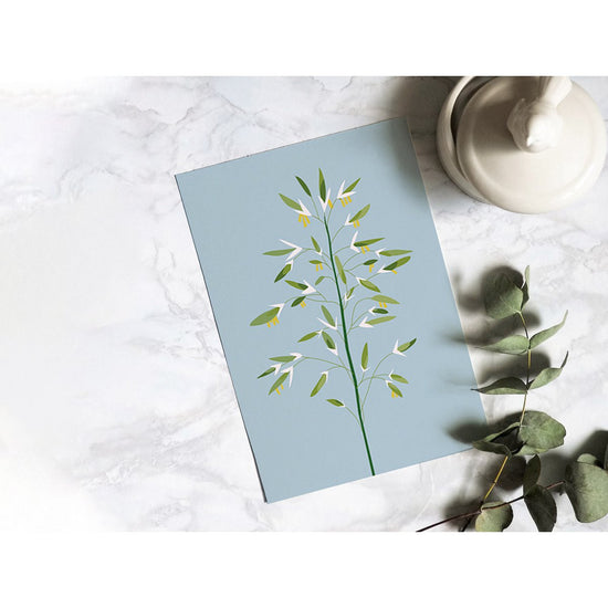 Postcard - Bromus