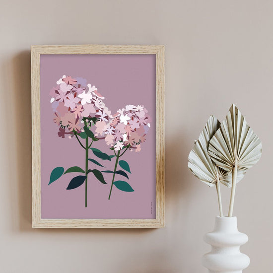Art Print - Phlox