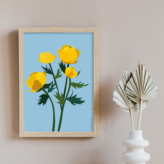 Art Print - Globeflower