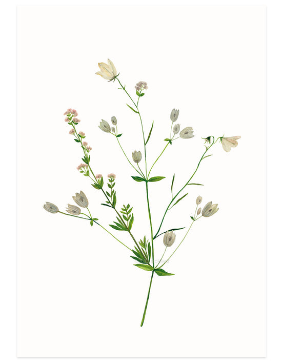 Kaart - Noorse Bloemen Roze