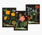 Stationery Briefpapier Set - Botanical