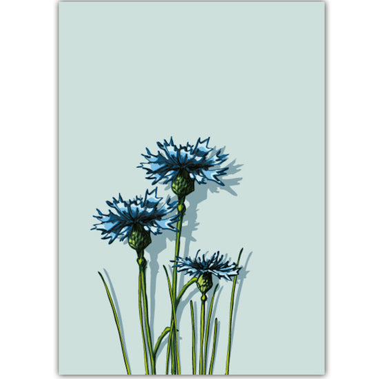 Kaart - Korenbloem