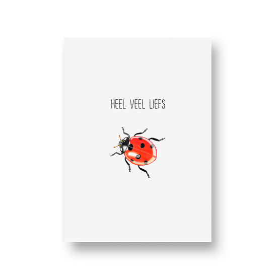 Kaart - Heel Veel Liefs