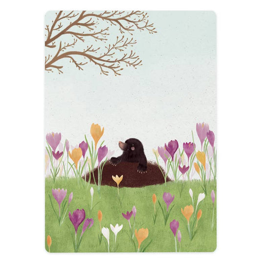 Kaart - Crocussen en Mol