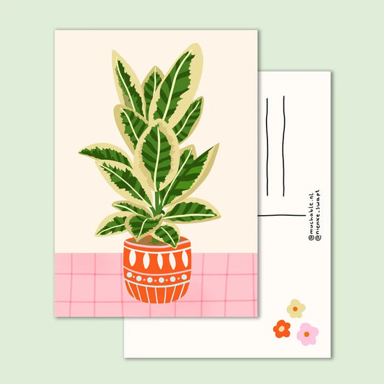 Kaart - Ficus in Rode Pot