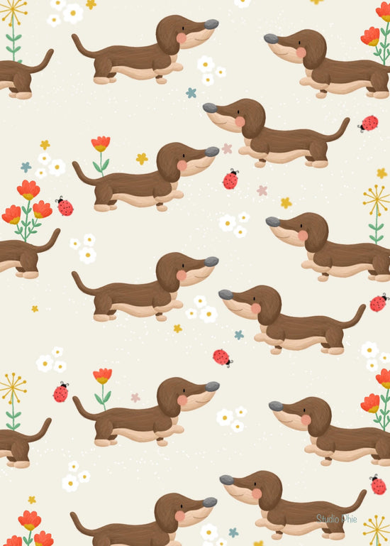 Kaart - Teckels All Over